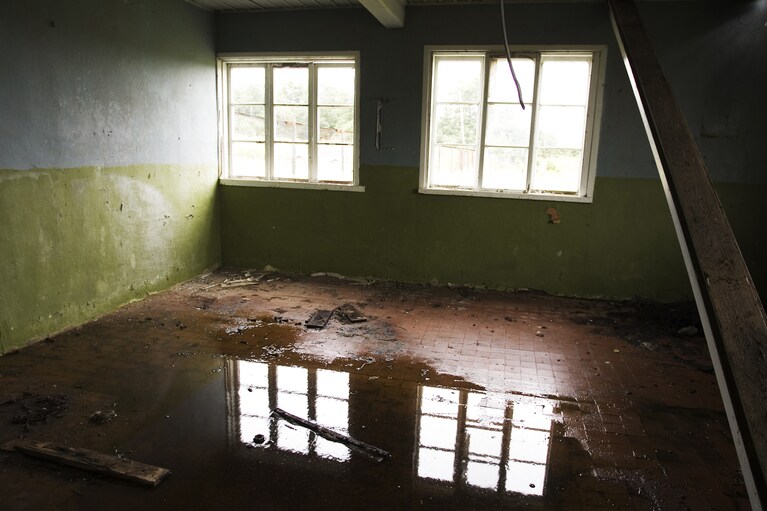 画像はイメージです。写真：Paylessimages/イメージマート