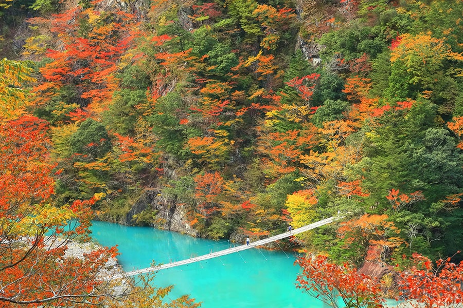 【静岡県】夢のつり橋。