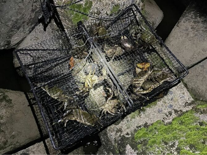 まさに一網打尽
