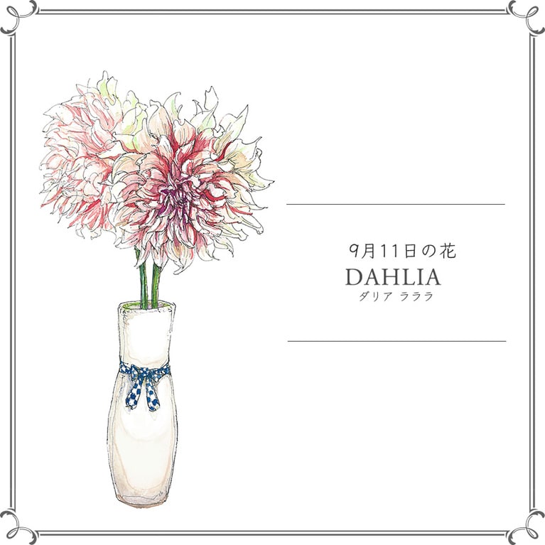 9月11日の花「ダリア ラララ」