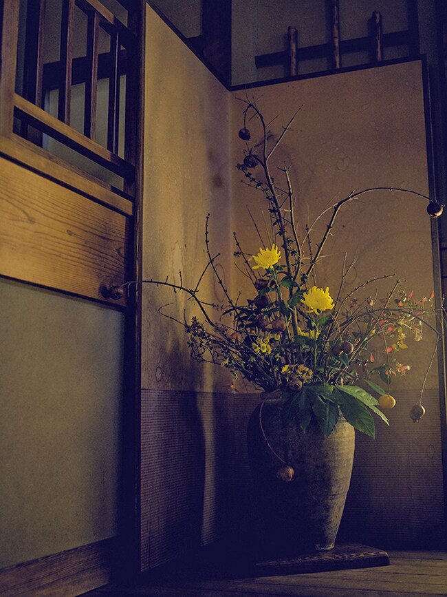 【陶泉 御所坊】陰影が生み出す東洋の美があちこちに。Photo: Tamon Matsuzono