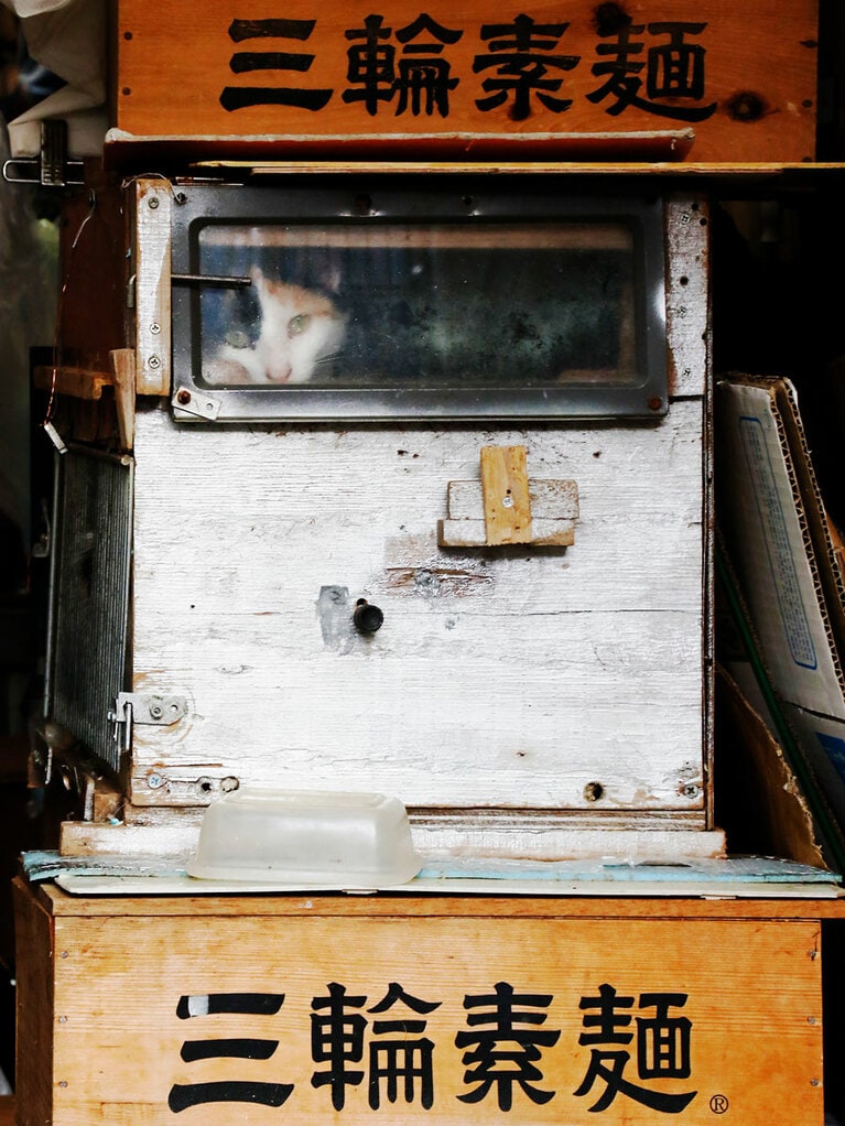 「快速・三輪素麺号！ 出発進行なのニャ～♪」