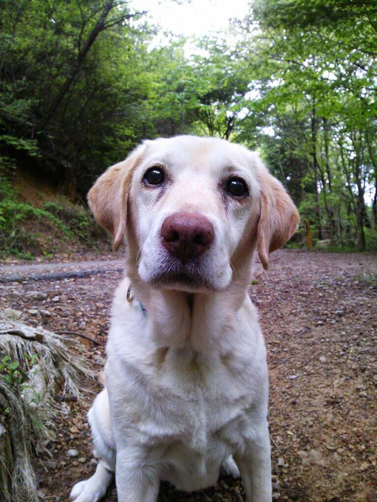 「タクシーの運転手さんみたいな写真。」(福徳さん)
