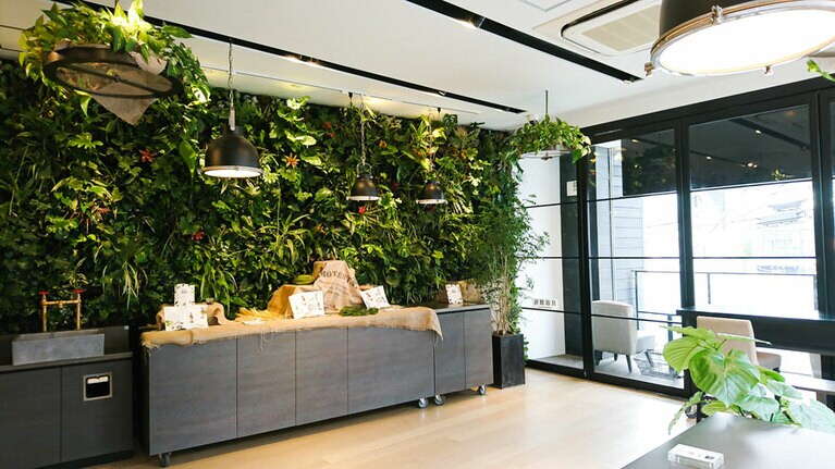 奥にテラス席あり。