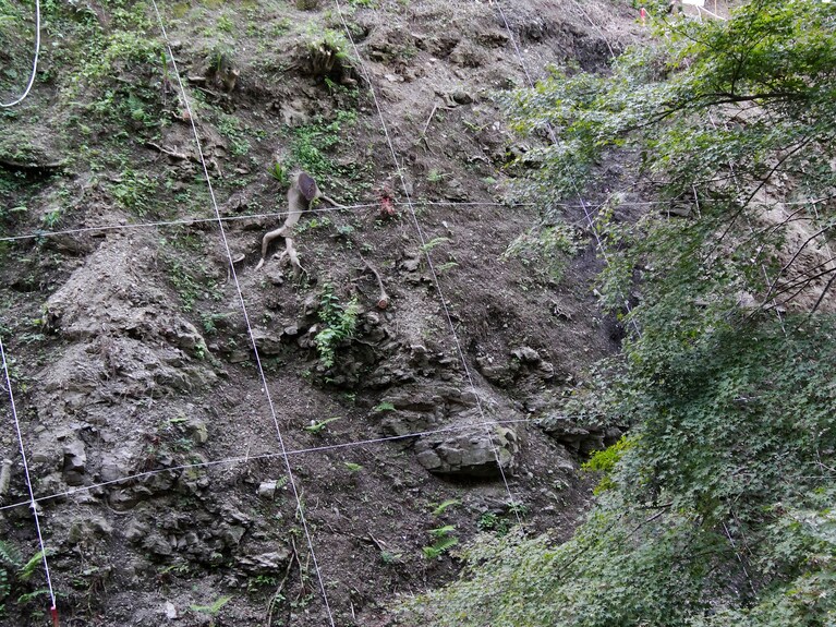 写真はイメージです。写真：GYRO_PHOTOGRAPHY/イメージマート