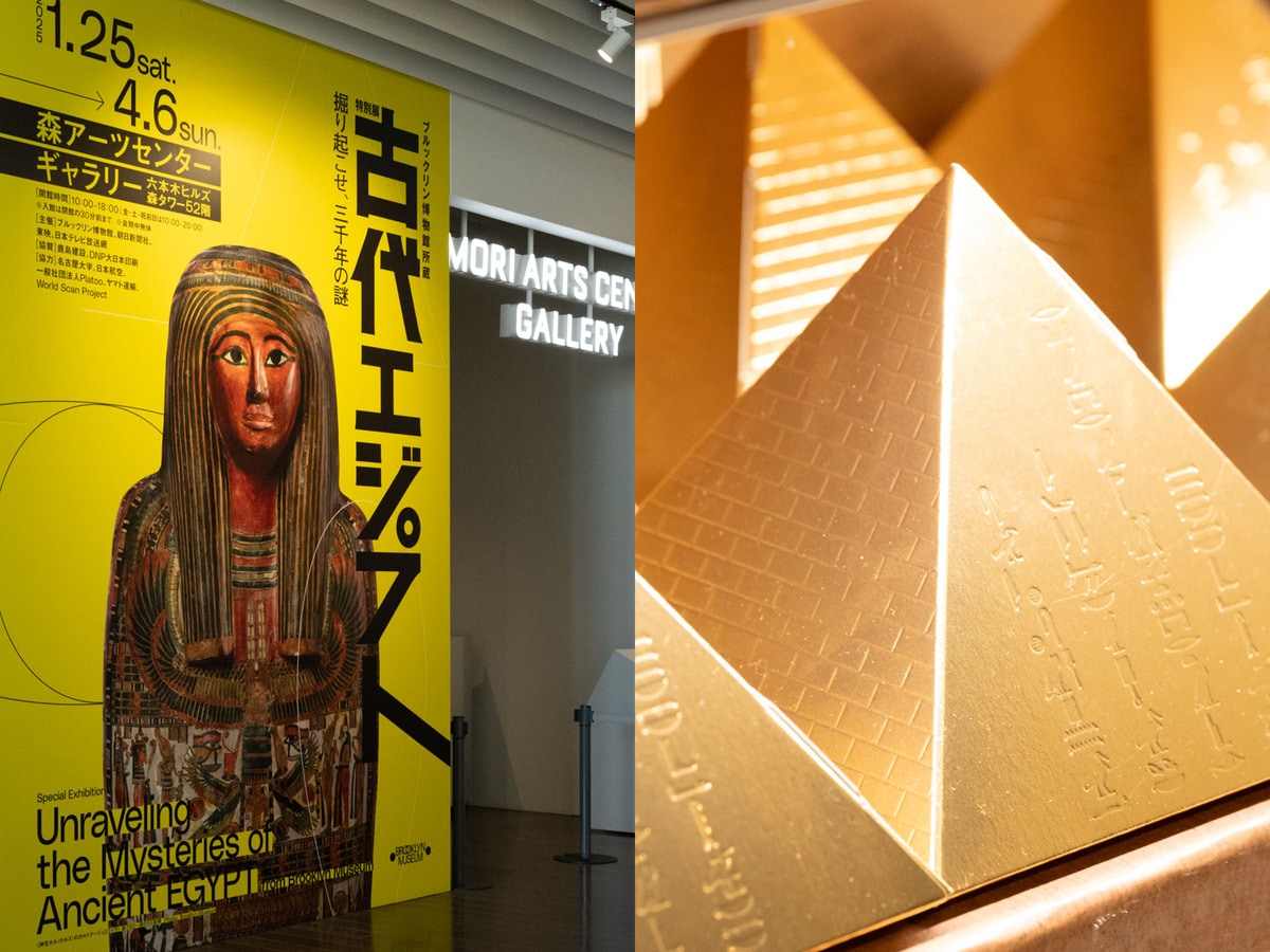 img_1bd6d8f532db2b5d9628c73bfc