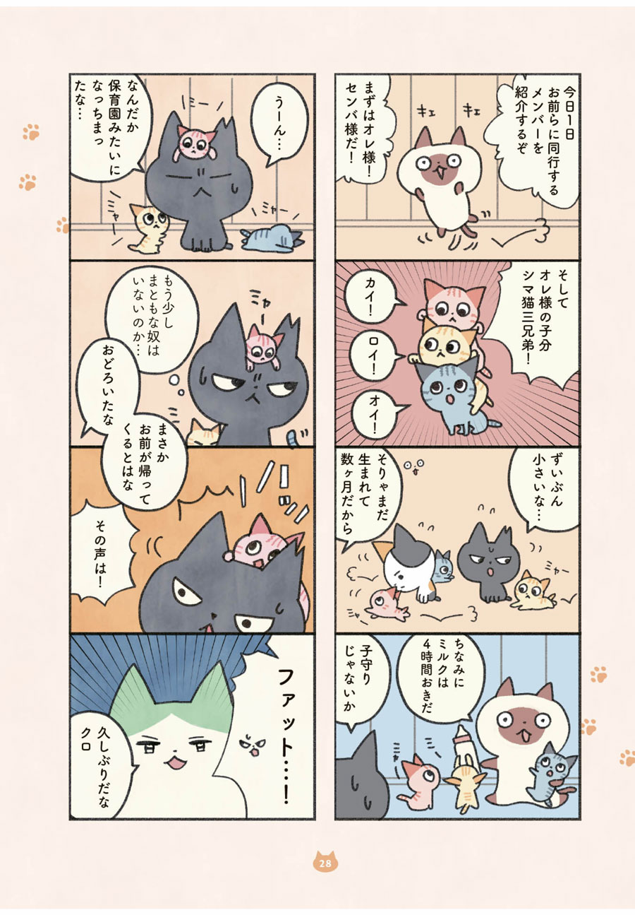 『もしもなんて来ないと思ってた猫』オキエイコ（実業之日本社）より。