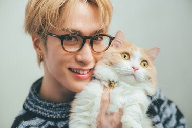 ソファは3台買い替えた。飲みの誘いも断る！」猫を愛する故に藤原樹が