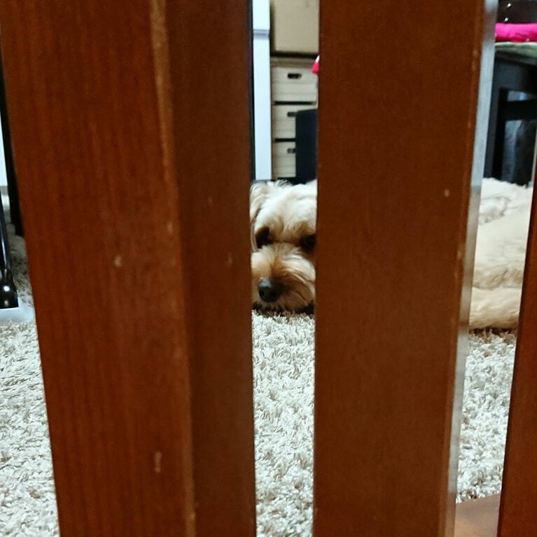 「スキマから見てきます。」(福徳さん)