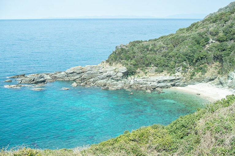 西平椿公園の原生林を歩いて目にするのは、美しく澄んだ海。