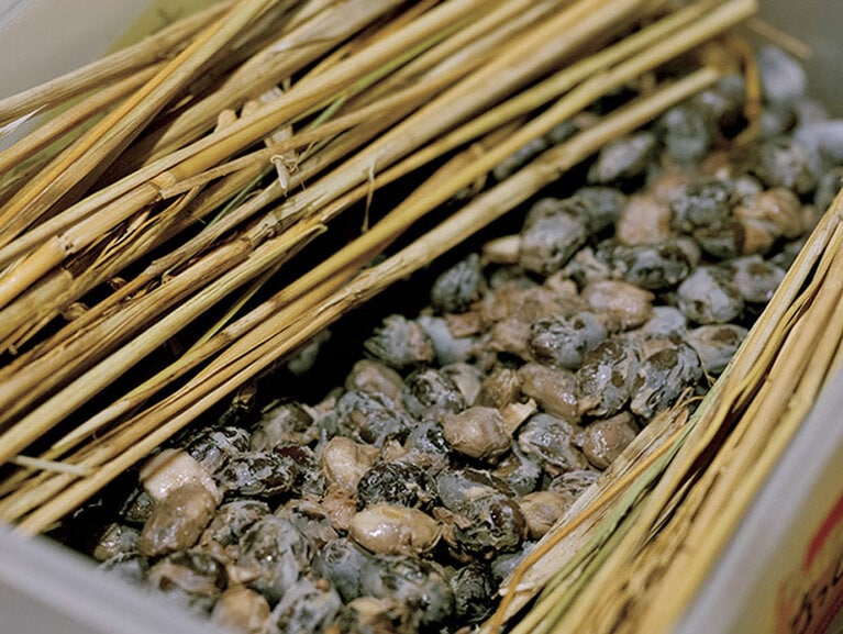 稲わらにもともと付着している納豆菌で作った、自家製の黒豆納豆を朝食に出す。