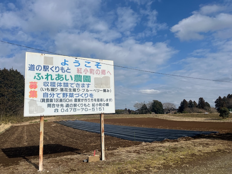 「ふれあい農園」では、いもの収穫体験が楽しめる。
