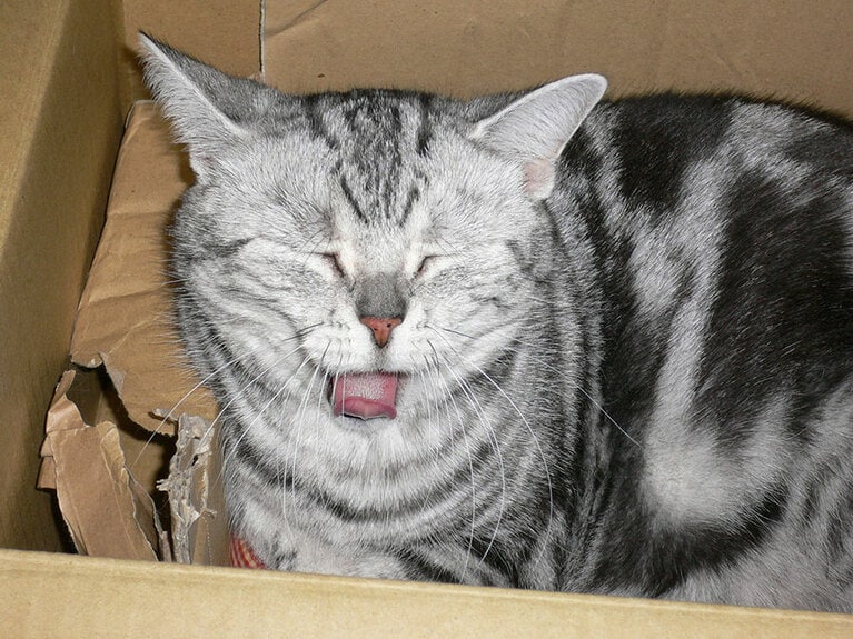 ひらり ♀ 14歳。