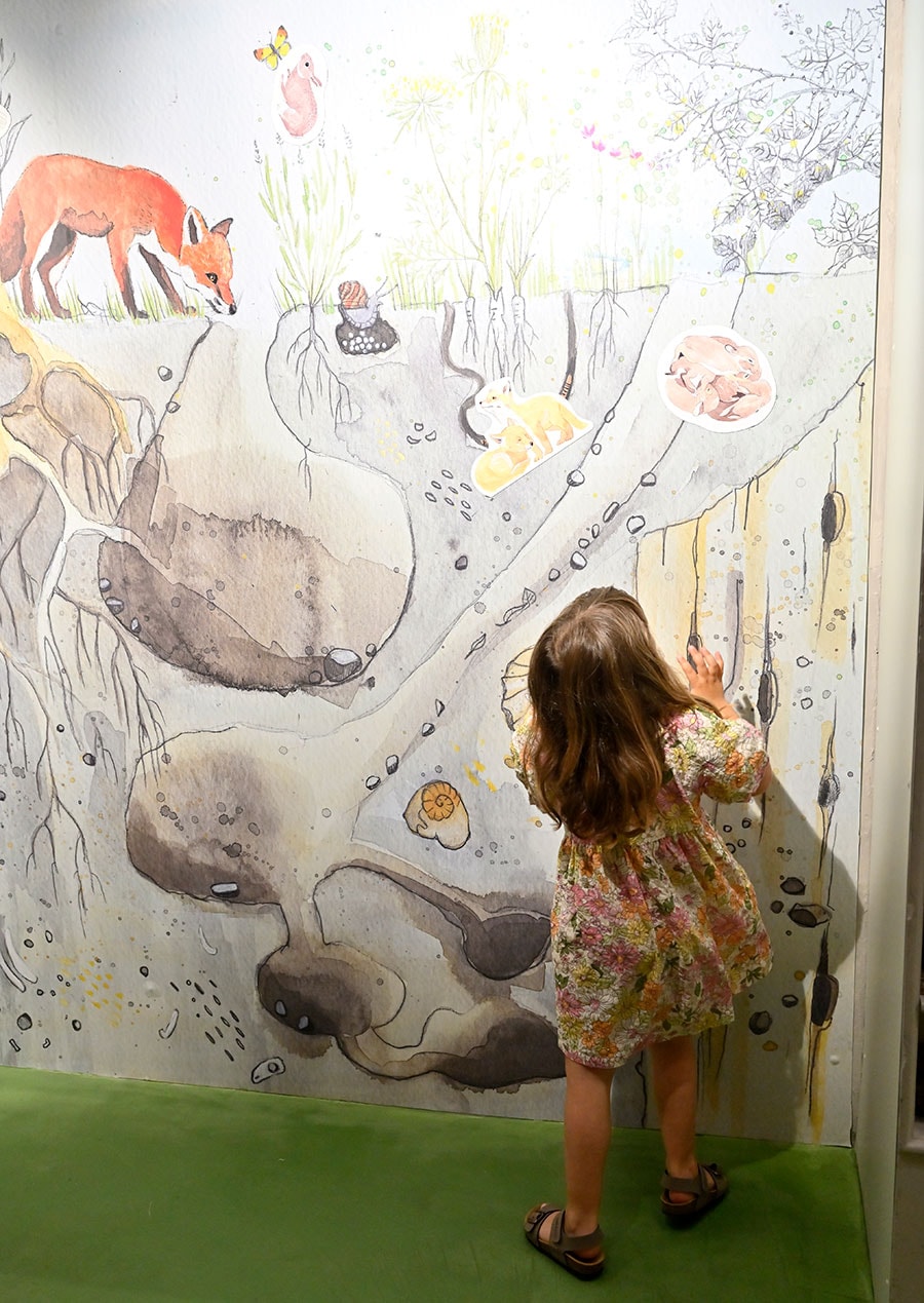 子供も大歓迎。体験しながら地球環境について学べる博物館。