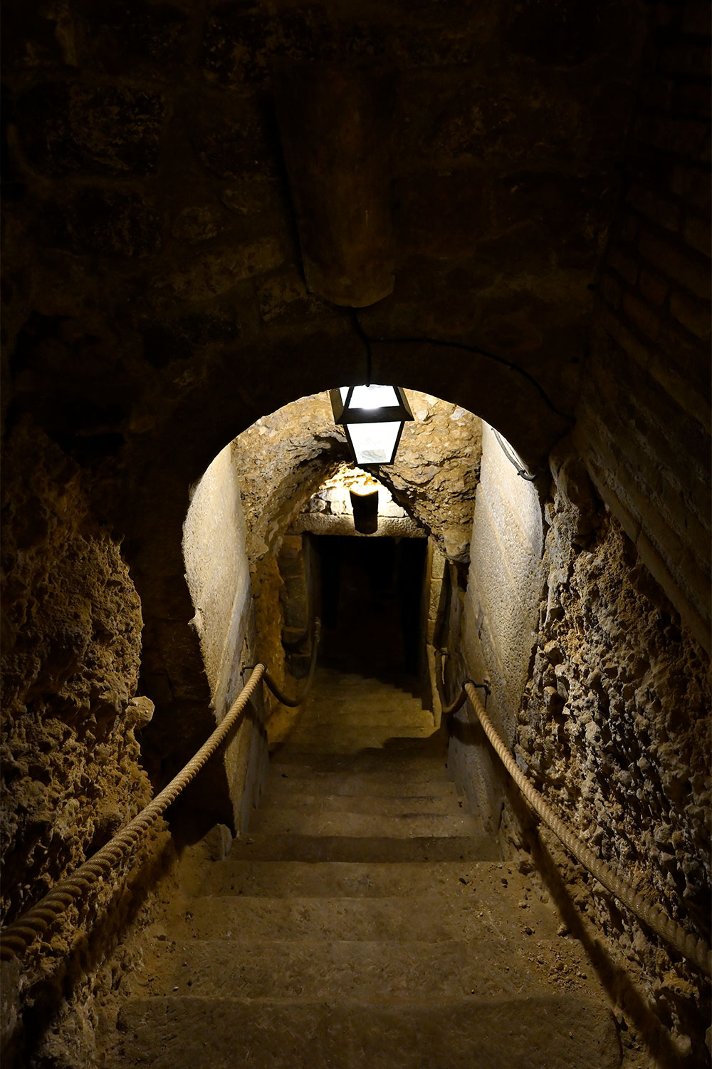 地下にあるボデガの見学や、ワインの試飲もできる。