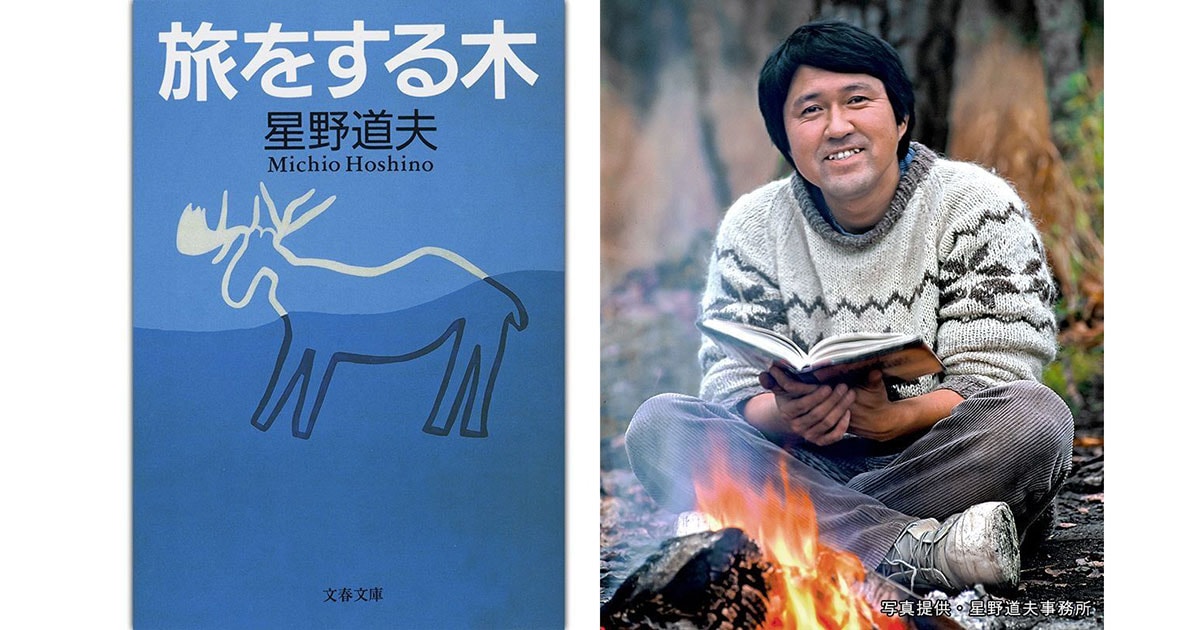 没後30年】なぜ写真家・星野道夫は、これほどまでに愛されるのか