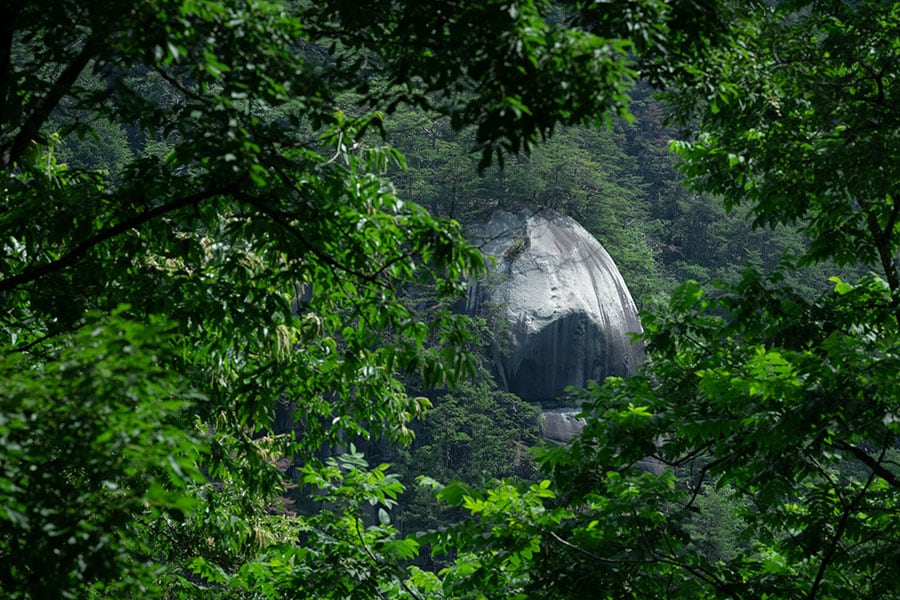 向かいの山から突き出ている岩がチラリ。そろそろ視界が抜けそうな予感……。