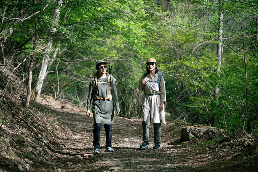 緩やかな登りが続きます。