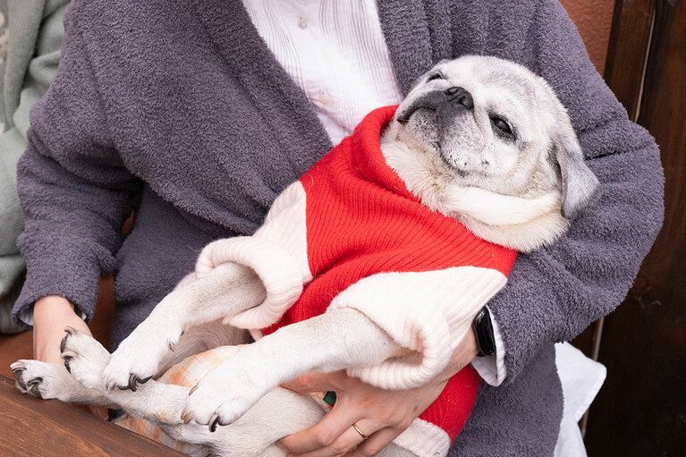 アザーカット。