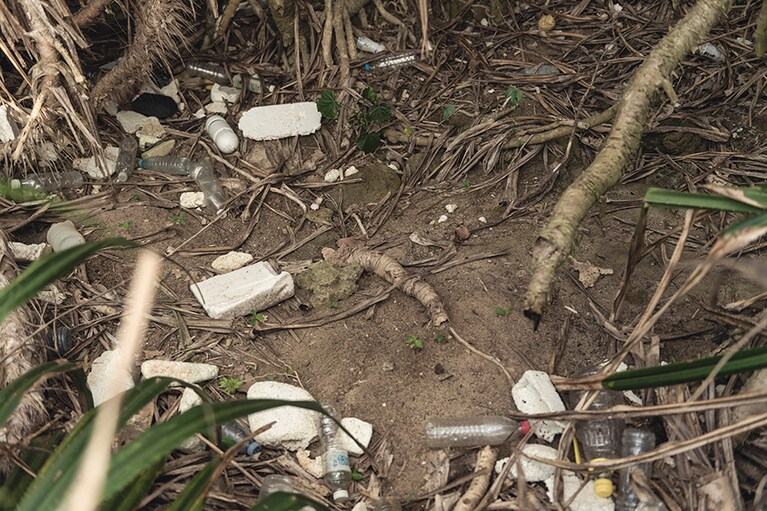 海岸林の奥まで入り込んでいる漂着ごみ。