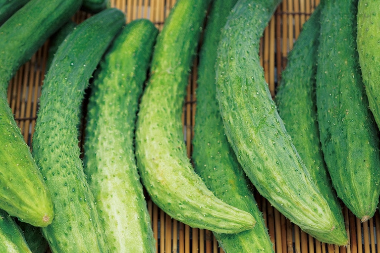 大原ふれあい朝市。皮が薄く歯切れのいい、希少な四葉きゅうり。