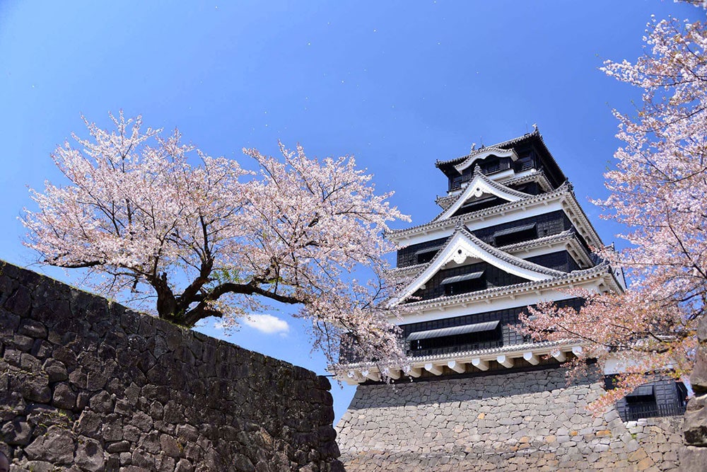 美しく蘇った、熊本城天守閣。熊本地震で被災した熊本城。復旧に向けた取り組みが進むなか、今春には天守閣が復活。