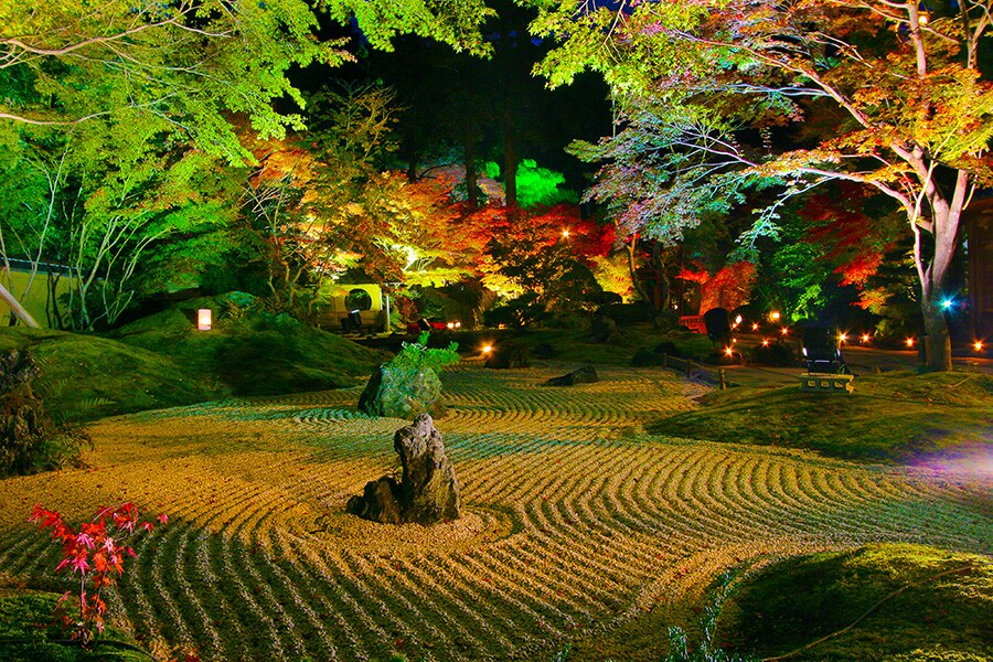 【宮城県】円通院紅葉ライトアップ。