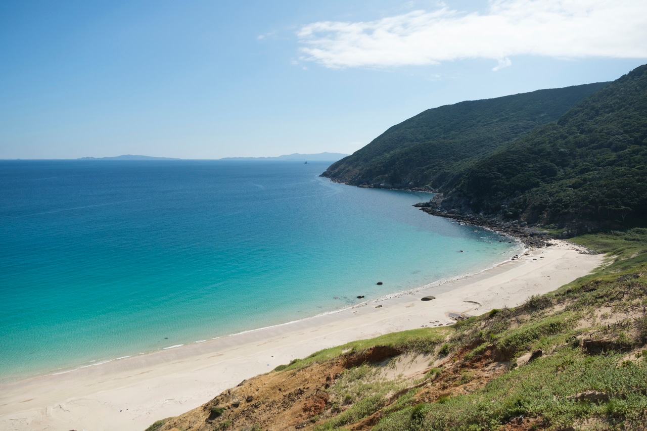 撮影：橋本篤。