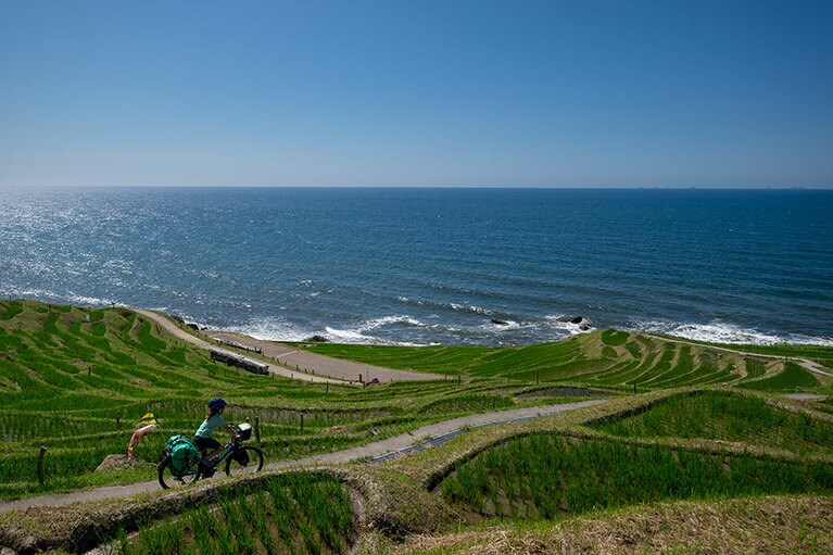 （写真提供＝パッシュファミリー）