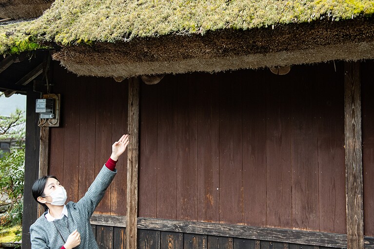 びっしりと詰まったかやぶきの屋根。自然と職人の技を感じる。