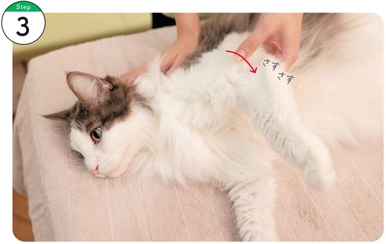 使用するツボ：曲池。