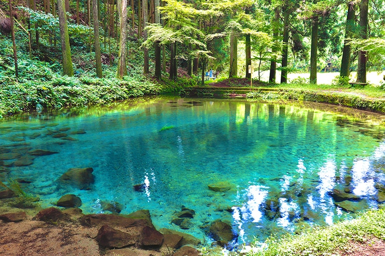 陣の池 小池。