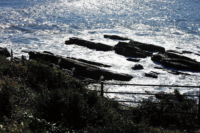 このあたりの地層は、恐竜が生きていた頃に堆積した砂岩。