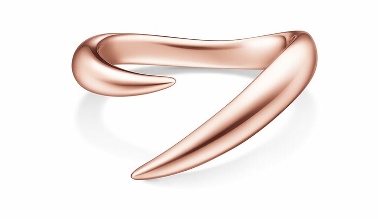 デインジャー ホ ー ン プラス リング（SG）440,000円。