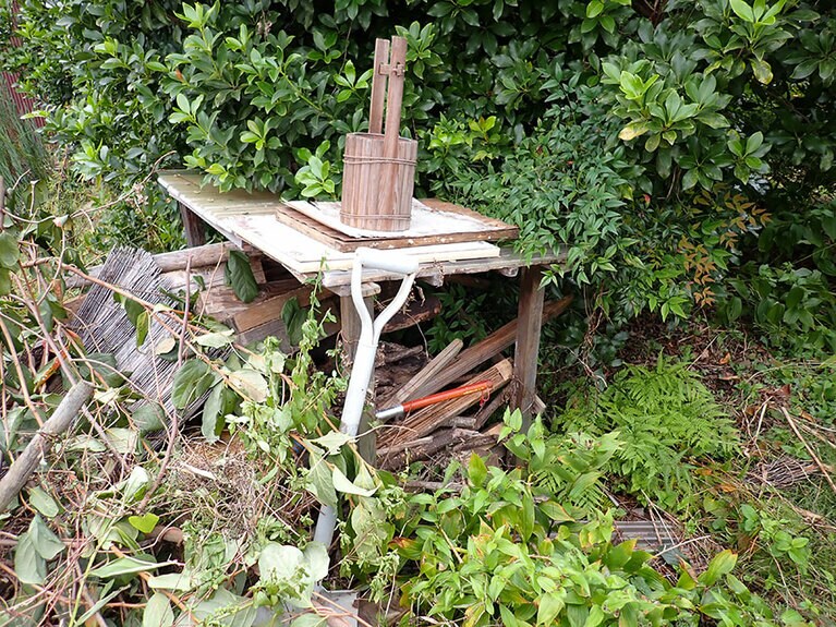 庭には木を積んだ場所もあり、たくさんの生き物がいます。