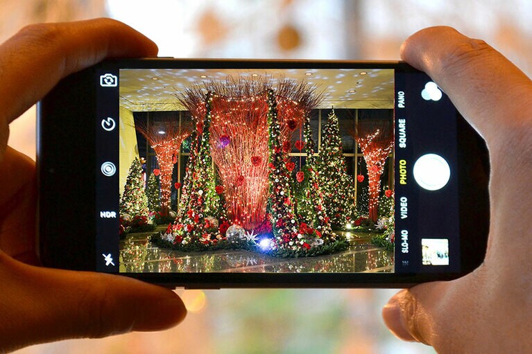 SNSキャンペーンも。