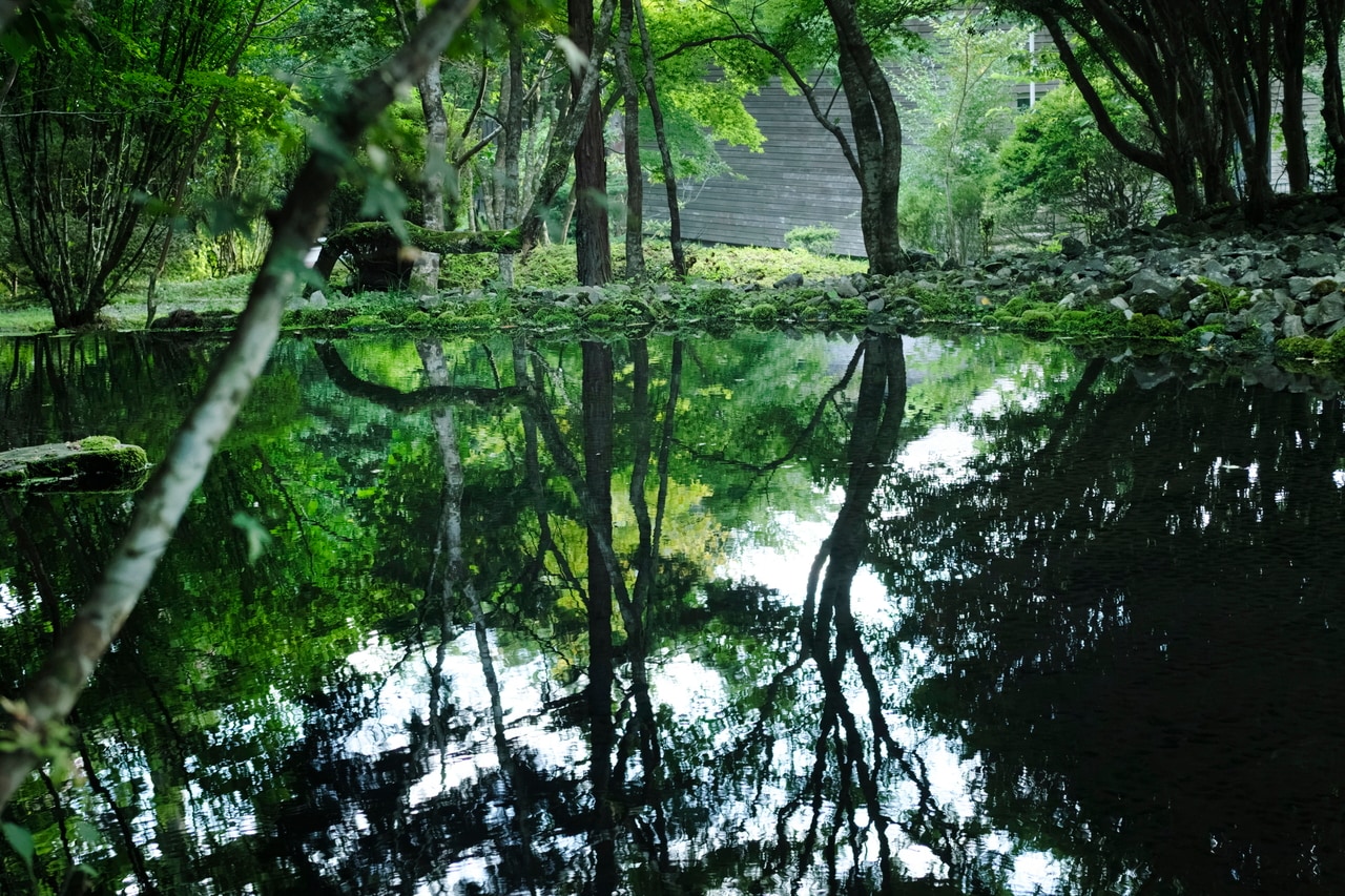 cafe & loungeの前に広がる池。水面に写り込む美しい景色に心が洗われる。