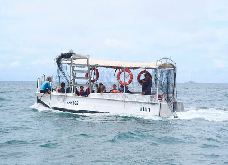 グラスボトムボート。底が透明アクリルなので手軽に海の中を覗ける。