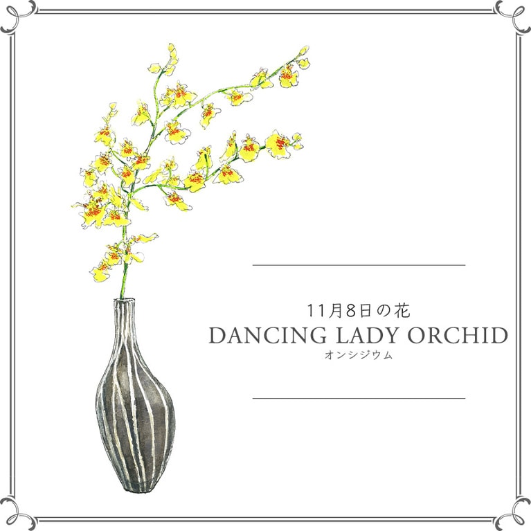 11月8日の花「オンシジウム」