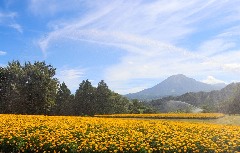 とっとり花回廊。