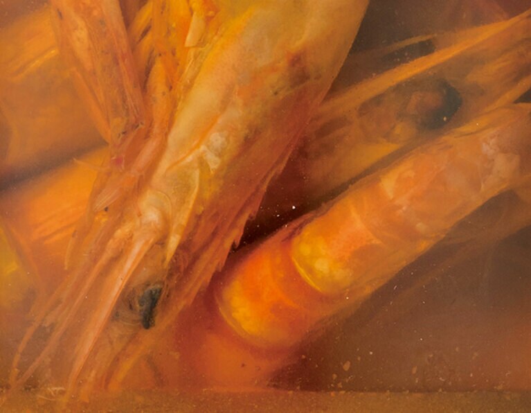 にがり衞門の「オリーブ車海老のアヒージョとオイル漬け」。