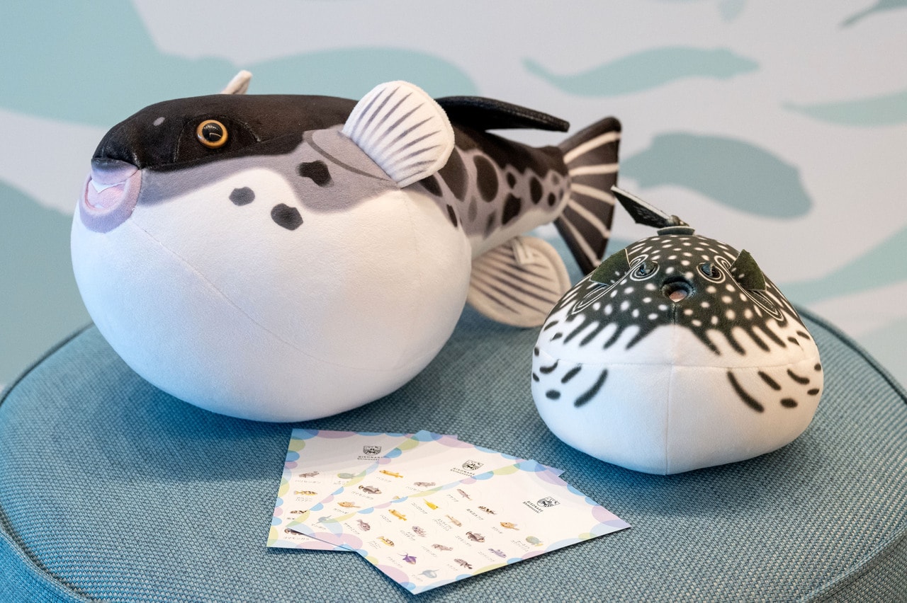 「海響館」監修のふぐのぬいぐるみ（歯がいかつい）と、ふぐのビンゴカード。