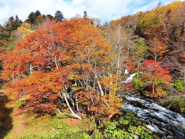訪ねたのは10月中旬。ちょうど紅葉まっさかり。