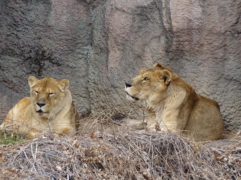 “トムサナ”が1日でも長く一緒にいられますように！