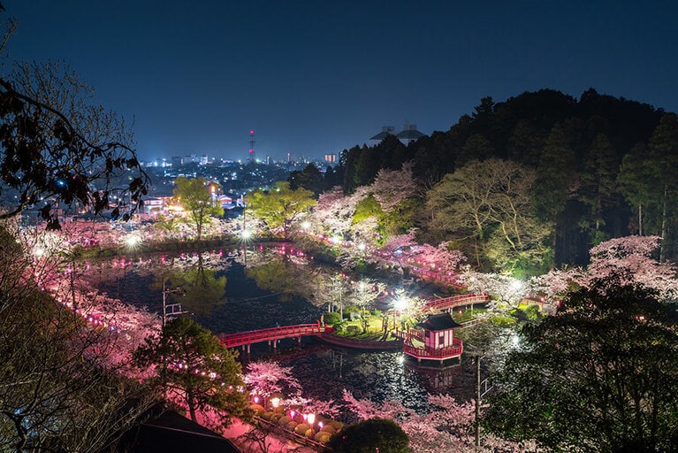 【千葉県】茂原公園。クレジット作者名表記 :mono / PIXTA（ピクスタ）