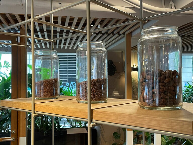 店内では原料となるカカオ豆が展示されています。