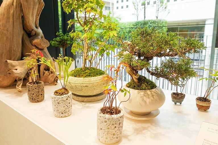 シーズングリーン庭店の盆栽 3,740円(税込)〜、手のひら盆栽1,650(税込)～。