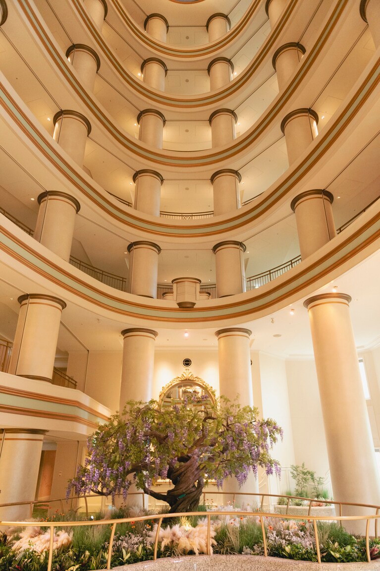 クジャクの向かいには藤の木が。