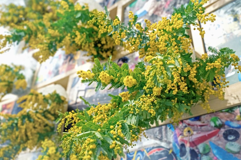 ミモザの花はイベント来場者にギフティングもされた。