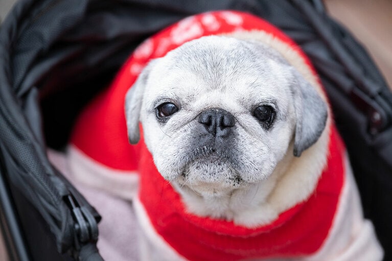 アザーカット。